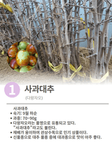 팜모닝 기타작물·자유게시판 게시글 이미지