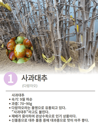 나무 천재님의 기타작물 · 자유게시판 작성글 사진