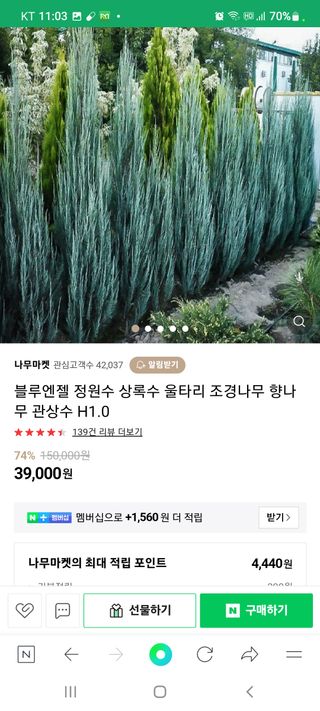 나무 천재님의 기타작물 · 자유게시판 작성글 사진