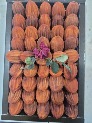 홍상옥님의 작성글 사진