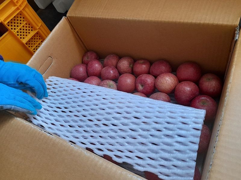 김주영님의 장터 판매 상품 [🍎 꼬마한입사과10kg/ 정품5kg, 10kg 🍎 ] 첨부 사진