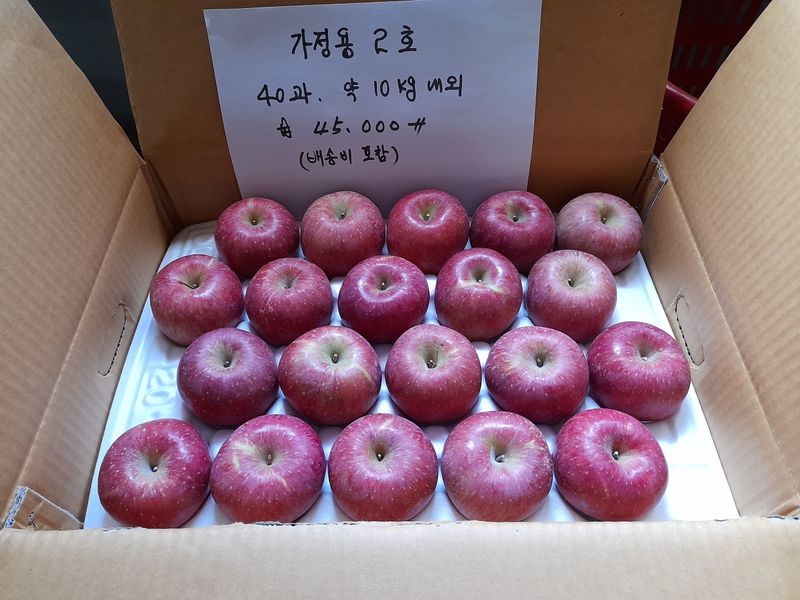 김주영님의 장터 판매 상품 [🍎 꼬마한입사과10kg/ 정품5kg, 10kg 🍎 ] 첨부 사진