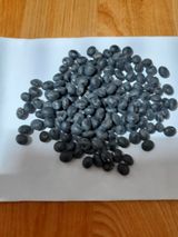 팜모닝 콩·자유게시판 게시글 이미지