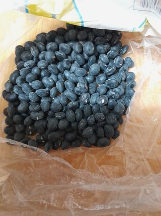 김명원님의 콩 · 자유게시판 작성글 사진