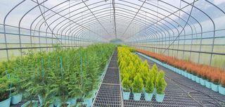 나무 천재님의 작성글 사진