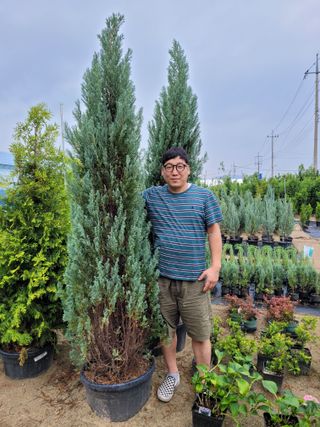 나무 천재님의 작성글 사진