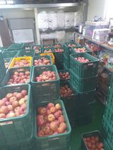 팜모닝 · 게시글 이미지