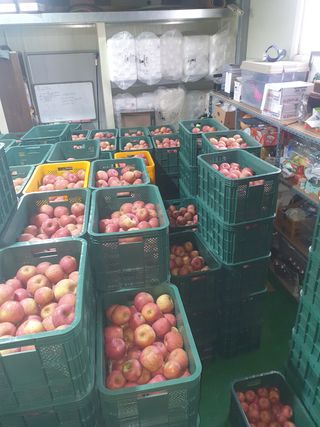 조순자님의 작성글 사진