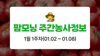 토마토 농사도우미님의 토마토·자연재해•동물피해 작성글 사진