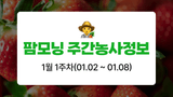 팜모닝 딸기·자연재해•동물피해 게시글 이미지