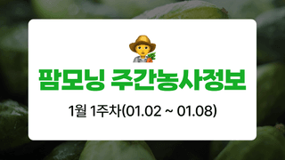 오이 농사도우미님의 오이 · 농사길잡이 작성글 사진