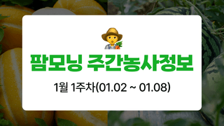 팜모닝 농사도우미님의 기타작물 · 농사길잡이 작성글 사진