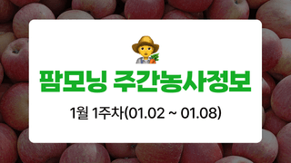 사과 농사도우미님의 사과 · 자연재해•동물피해 작성글 사진