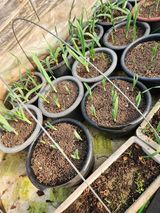 팜모닝 기타작물·자유게시판 게시글 이미지