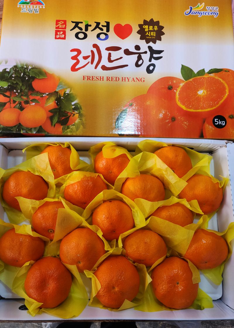 장터 상품 [레드향 3kg : 3만원(택배비2000원) 5kg : 5만원(택배비없음)] 썸네일