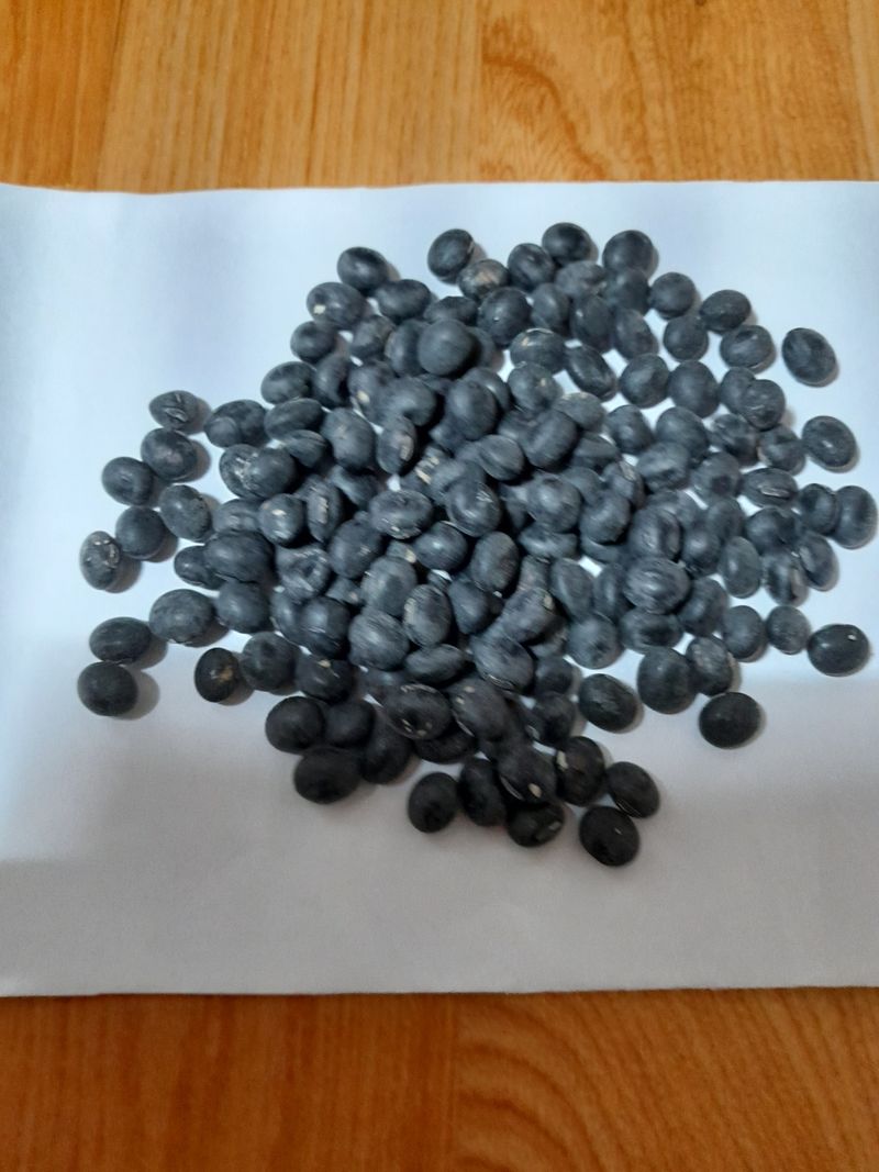 김명원님의 장터 판매 상품 [흑태  2kg] 첨부 사진