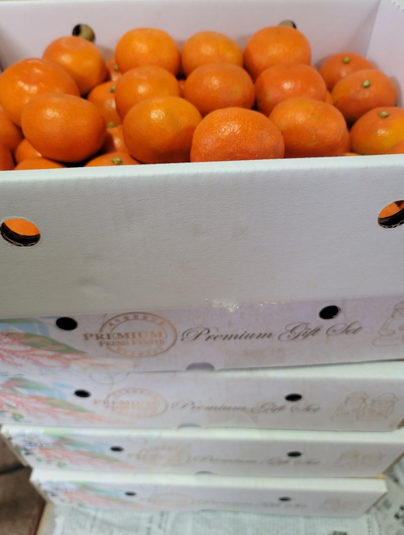 장터 상품 [복희네 금복향 S.M사이즈 3kg] 썸네일