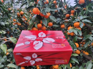 복희네농장(달콤향)님의 작성글 사진