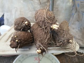 김철현님의 작성글 사진