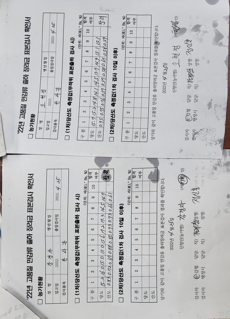 오봉진님의 장터 판매 상품 [조생귤 10kg  1box] 첨부 사진