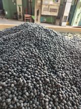 팜모닝 콩·자유게시판 게시글 이미지