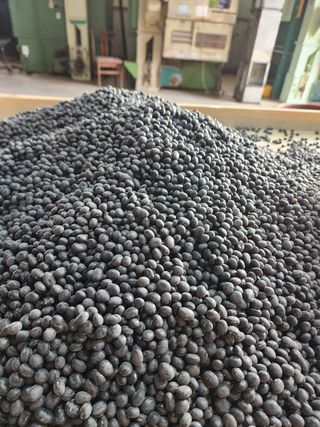 노지섭님의 콩 · 자유게시판 작성글 사진