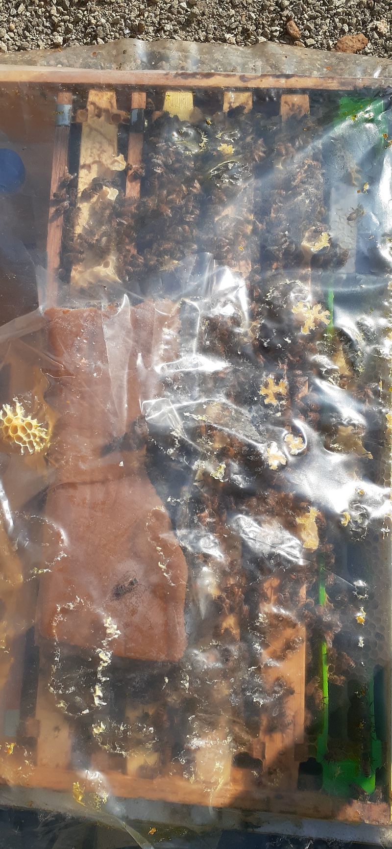 장터 상품 [아카시꿀  기능성헛개꿀 옷꿀 자연사양꿀등2.4키로] 썸네일