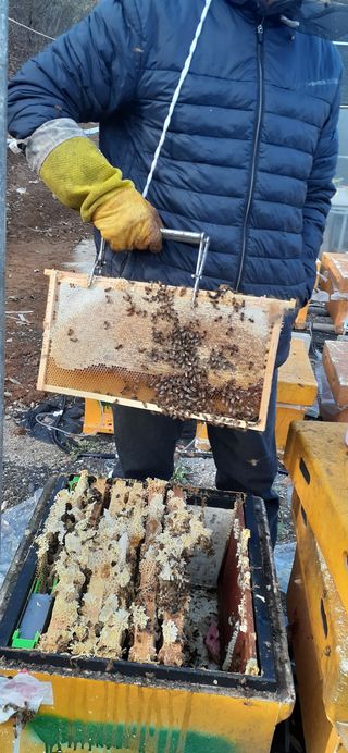 오소리와꿀벌들님의 작성글 사진