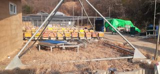 오소리와꿀벌들님의 작성글 사진