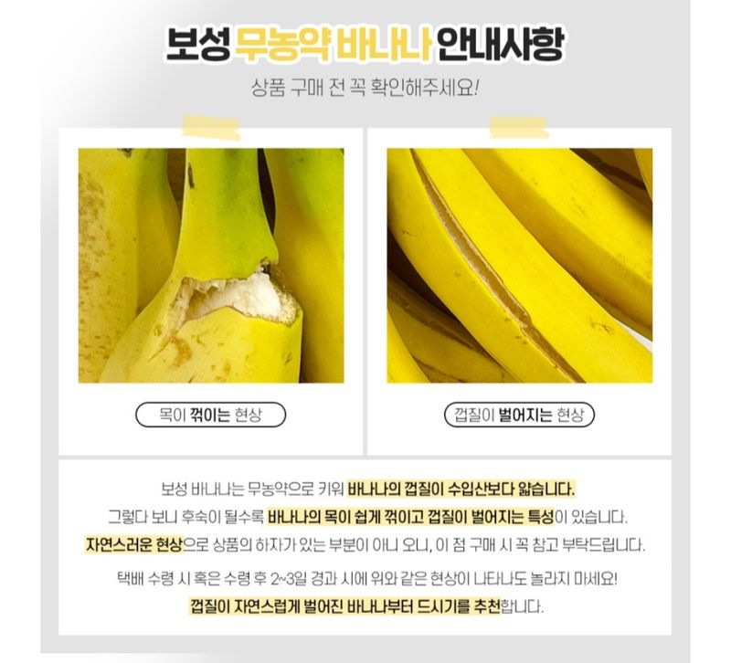 임선희님의 장터 판매 상품 [국내산 바나나(보성) 1kg] 첨부 사진