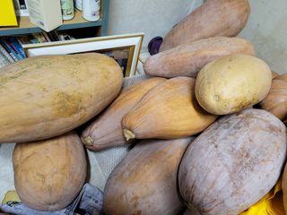 문보라님의 작성글 사진