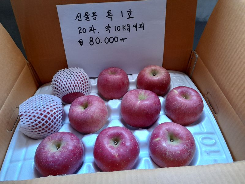 김주영님의 장터 판매 상품 [☃️ 부사 꼬마한입사과10kg / 정품 5kg, 10kg 🍎 ] 첨부 사진