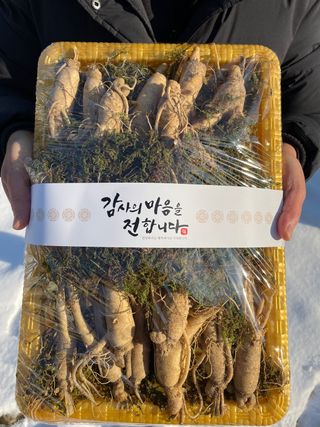 모두팜님의 기타작물 · 자유게시판 작성글 사진