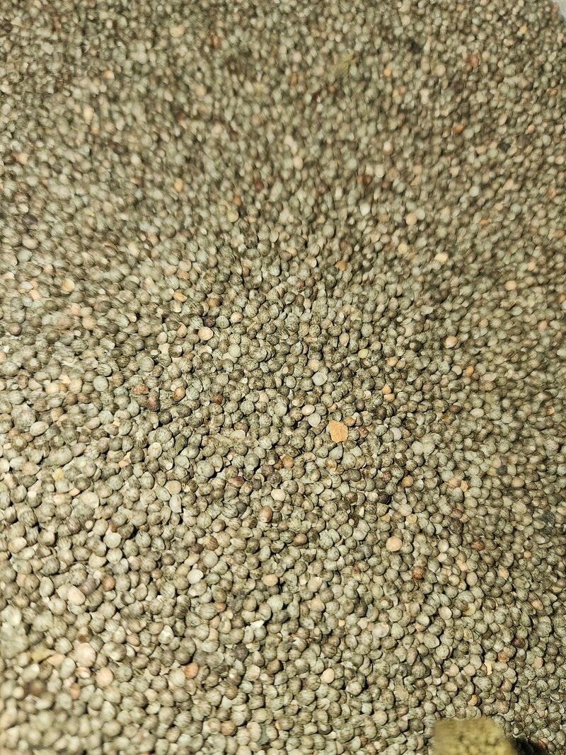 장터 상품 [들깨] 썸네일