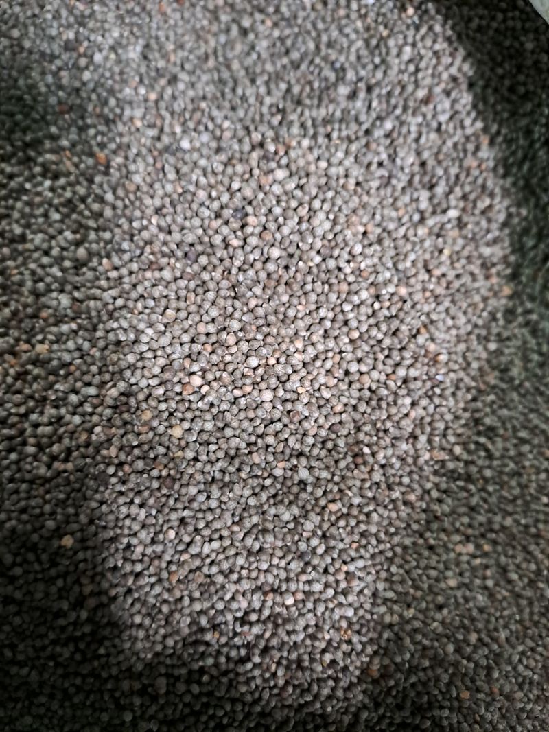 장터 상품 [강원도정선들깨] 썸네일