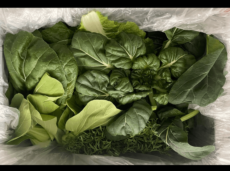 문성주님의 장터 판매 상품 [모듬쌈채소 1kg] 첨부 사진