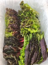 팜모닝 · 게시글 이미지