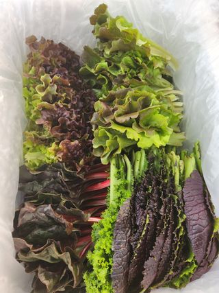 김지윤님의 작성글 사진