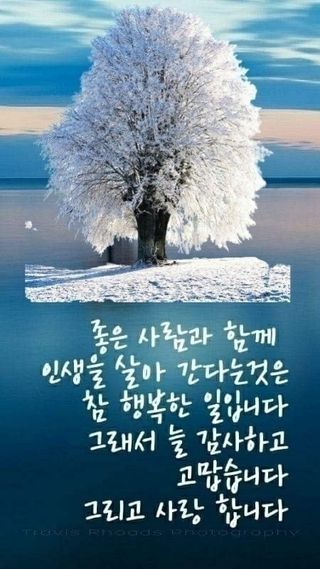 윤미선(농경채인증님의 기타작물 · 자유게시판 작성글 사진
