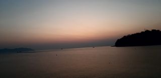 푸른오이님의 시금치 · 일상 작성글 사진