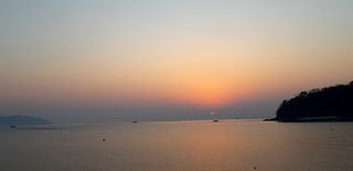 푸른오이님의 시금치 · 일상 작성글 사진