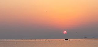 푸른오이님의 시금치 · 일상 작성글 사진