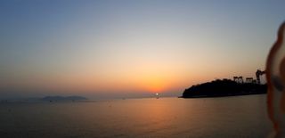 푸른오이님의 시금치 · 일상 작성글 사진