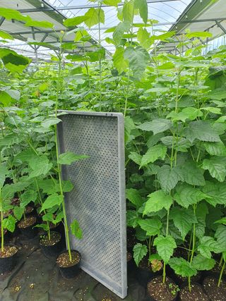 이기자농장님의 작성글 사진