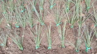 이기자농장님의 작성글 사진