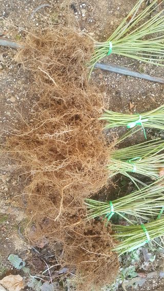 이기자농장님의 작성글 사진