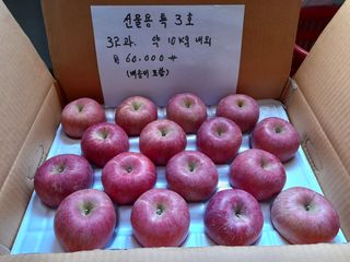 하늘아래사과나무님의 작성글 사진