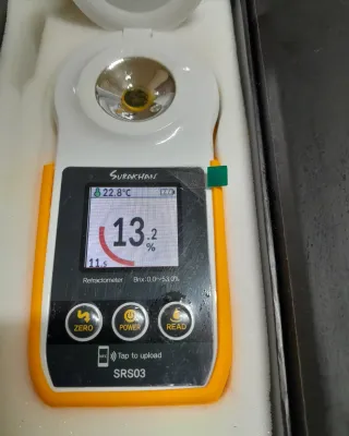 대정골귤꽃농원님의 작성글 사진