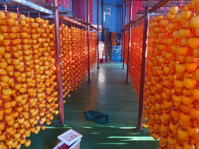 이영월님의 장터 판매 상품 [감말랭이  700g - 10,000원/ 곶감800g - 10,000] 첨부 사진