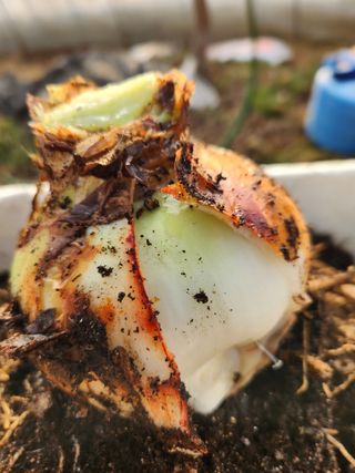 Preotu님의 기타작물 · 자유게시판 작성글 사진